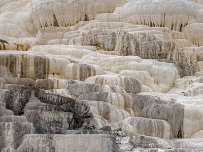 YNPsp25-44-Mammouth-Hot-Springs-Terraces_DSC0243-sq-wk-copy