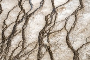 YNPsp25-14-Grand-Prismatic-Spring_DSC0137-sq-wk-copy