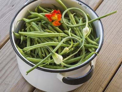 SLsu59 String Beans and Garlic Scapes