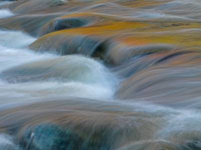 SLf229 Rapid Stream Reflection