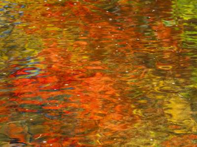 SLf288 Carrabassett River Red and Green Reflection