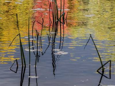 SLf508-Reflections-in-Keewaydin-Lake