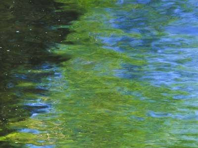 WNsu9 Reflections