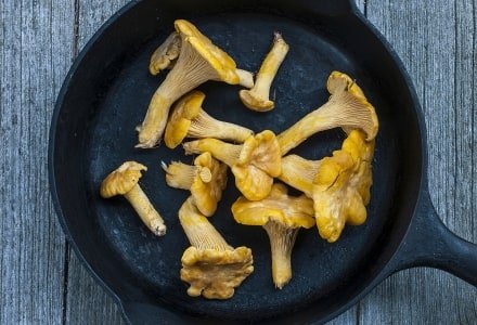 RLsu55 Chanterelles in a Pan