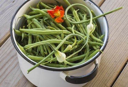 SLsu59 String Beans and Garlic Scapes