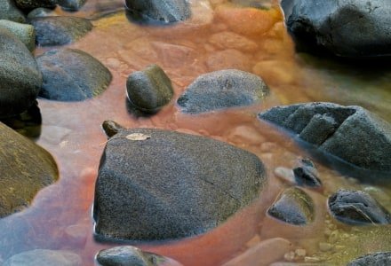 SLf227a Rapid Stream Reflection