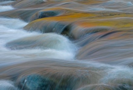 SLf229 Rapid Stream Reflection