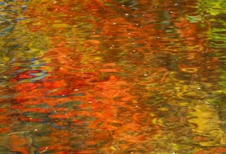 SLf288 Carrabassett River Red and Green Reflection