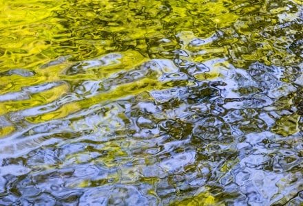 SMsp48 Spring Green-Blue Sky Reflection