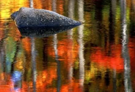 WMf4 Ellis River Rock & Birch Reflection