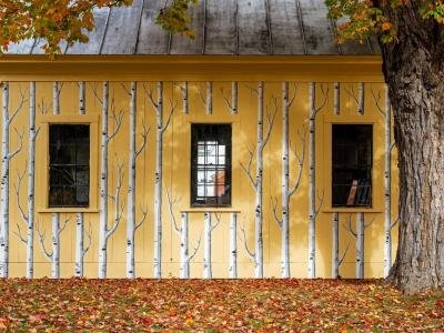 KF109-opt-Rolling-Fatties-Barn-Wall-Painting