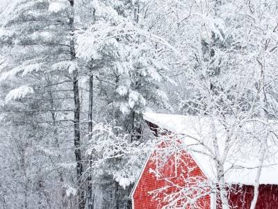 KFw65 Knapp's Barn in Snowstorm