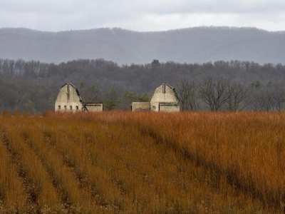 PAf2-2020-Book-End-Barn-State-College-PA