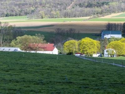 PAsp5-Clover-Creek-Cheese-Cellar