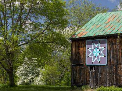 QuiltKF2-Kennedys-Barn-Kingfield_DSC1647-wk