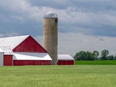WIsu14-Door-County-Farm-with-Oat-Field