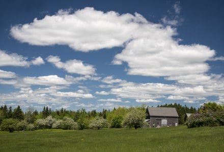 DECsp22-Marshville-Farm