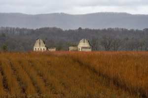 PAf2-2020-Book-End-Barn-State-College-PA
