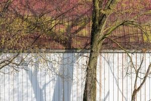 PAsp3-Clover-Creek-Cheese-Cellar