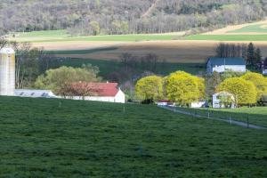 PAsp5-Clover-Creek-Cheese-Cellar