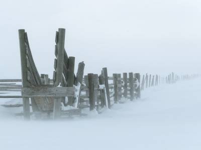 1_IDw20-33-Cattle-Loading-Ramp