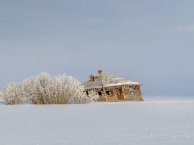 IDw19-12-Windblown-Early-Morning-from-Victor-ID