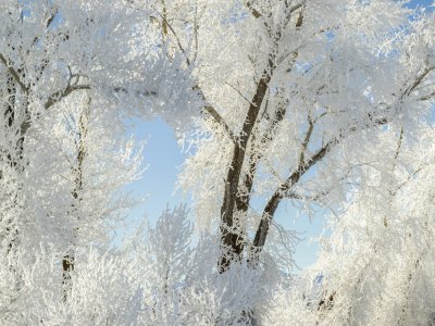 IDw22-55-Wheel-Line-Parts-at-the-Edge-of-Grand-Teton-Canal-B0000056-2-3-crop-wk-copy