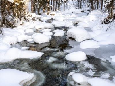 IDw23-11-Sheep-Bridge-trail-Teton-Creek