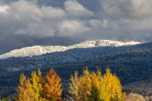 IDf24-15-Teton-Foothills-Early Snow