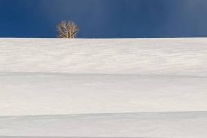 IDw20-210-Snow-Field-Layers-Teton-Byway-Idaho