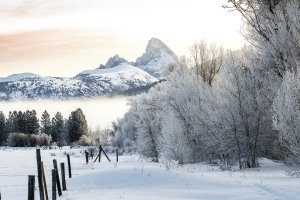 IDw22-31-Grand-Teton-Frosty-Morning