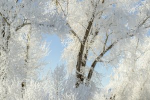 IDw22-55-Wheel-Line-Parts-at-the-Edge-of-Grand-Teton-Canal-B0000056-2-3-crop-wk-copy