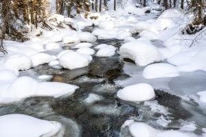 IDw23-11-Sheep-Bridge-trail-Teton-Creek