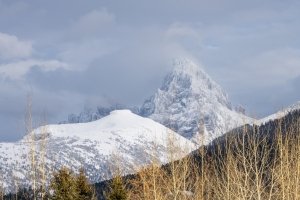 IDw24-39-Table-Mountain-and the Grand Teton