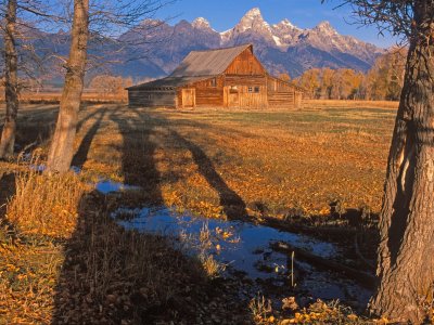 1_TNPf07-17-Mormon Row