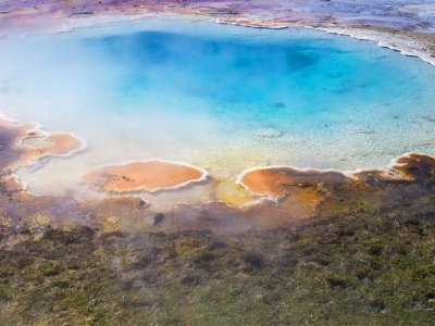 1_YNPsp24-19-Fountain-Paint-Pot