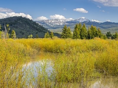 WYsp14-4-2014-MoranJunction