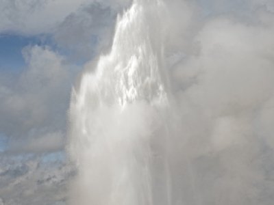 YNP16f1-Old-Faithful-with-Bison