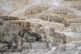 YNPsp25-44-Mammouth-Hot-Springs-Terraces