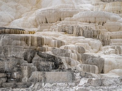 YNPsp25-44-Mammouth-Hot-Springs-Terraces