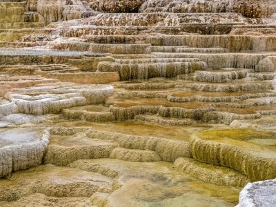 YNPsp25-48-Mammoth-Hot-Springs-Terraces
