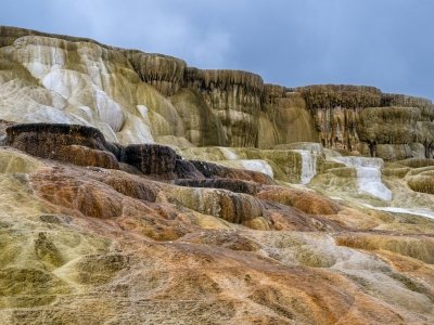 YNPsp25-49-Mammouth-Hot-Springs-Terraces