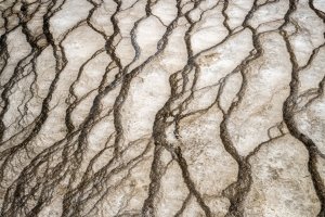 1_YNPsp25-14-Grand-Prismatic-Spring