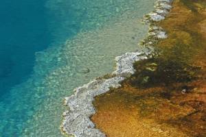 Colorful Edge of Midway Geyser Basin, Yellowstone National Park, Wyoming - YNPf1