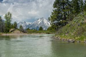 WY14sp7-Snake River Tetons