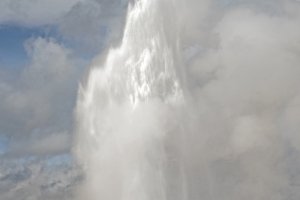 YNP16f1-Old-Faithful-with-Bison