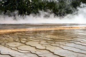 YNPsp25-13-Grand-Prismatic-Spring_DSC0135-wk-copy