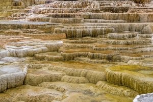 YNPsp25-48-Mammoth-Hot-Springs-Terraces