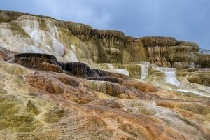 YNPsp25-49-Mammouth-Hot-Springs-Terraces