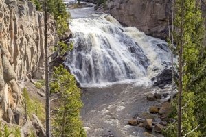 YNPsp25-51-Gibbon-Falls
